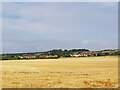 Towards Pershore Cemetery from the Millennium Way 