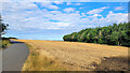 Harvested field, high Cotswolds