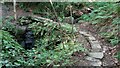 Stone Slab Footbridge and Path