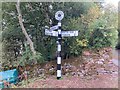 NY4731 : Direction Sign â€“ Signpost at Newton Reigny by Terry Moore