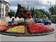 H4572 : Floral display, Swinging Bars Roundabout, Omagh by Kenneth  Allen
