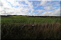 Farmland near Bents Farm