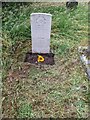 SO9975 : The grave of Driver A W J Winslade In Lickey Cemetery 25th July 2022 by Roy Hughes