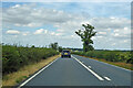 A134 looking north