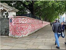 TQ3079 : Approaching the National Covid Memorial Wall, Albert Embankment, London by Robin Stott