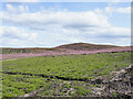 NY9453 : Demarcation lines on heather moorland by Trevor Littlewood