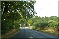 Road towards Thurston from the south