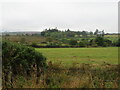 Farmland at Huxted