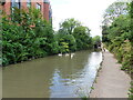 The canal-side towpath walk, with swans, Stratford-upon-Avon Canal