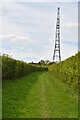 Barkway Hill Mast (Former RAF Barkway)