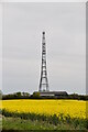 Barkway Hill Mast (Former RAF Barkway)