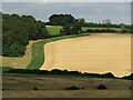 SU8395 : West Wycombe - Chilterns Landscape by Colin Smith
