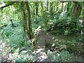 Footbridge on the path down to Underhill