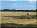 Corn bales