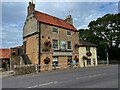 The Greendale Oak