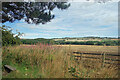 Farmland near Bearpark