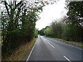 Blackmore Road near Meadow Farm