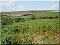 Near Woodhall Farm