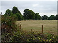 Cut silage field off Hook End Lane, Hook End