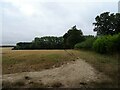 Stubble field towards woodland