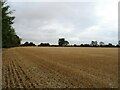 Stubble field near Fithlers Hall Farm