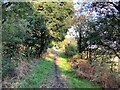 Bridleway and Disused Railway Track Bed