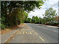 Bus stop and shelter on Blasford Hill (B1008)