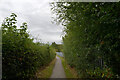 The Cinder Path, Knaresborough