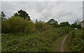 Path from Halfpenny Close to The Cinder Path, Knaresborough