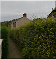 Path from Pasture Crescent to Alexandra Park Road, Knaresborough