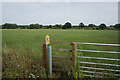 Footpath towards Lower Farm