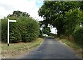 Minor road towards Leez Priory, Prior