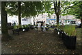 Plant Stall, Kirkcudbright