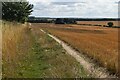 Field edge south of South Wonston