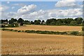 Fields south of South Wonston