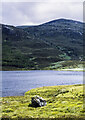NH2331 : Loch Sealbhanach by Trevor Littlewood