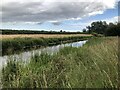 Driffield canal near Whinhill Farm