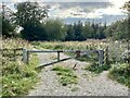 Entrance to woodland at Cefn Coch