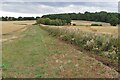 Footpath to Harveyshill Farm