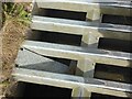 Hedgehog ramp in the cattle grid near Marian Lodge