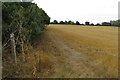 Footpath to Kingswoodbury Farm