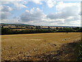 Stubble field, Horndon On The Hill