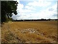 Stubble field, South Hill