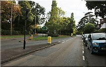 TQ7737 : Angley Road, Wilsley Green by David Howard