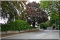 Lonsdale Road near Blakenhall in Wolverhampton