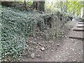 Collapsed Wall in Gnoll Park