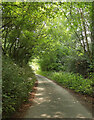 Lane in Clay Copse