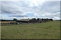 NZ1622 : Fields near Hilton Grange by DS Pugh