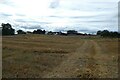 NZ1621 : Fields near Hilton Grange by DS Pugh