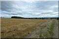 NZ1622 : Straw in the fields near Hilton Grange by DS Pugh